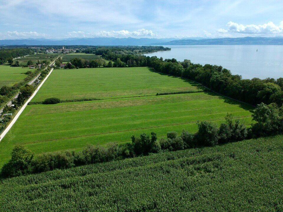 Wohlfuehl-Apartment Irisbluete Mit Privatstrand Friedrichshafen Ngoại thất bức ảnh